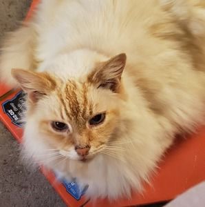 Meet your Posher, Juli